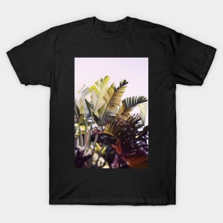 Paradise #1 T-Shirt